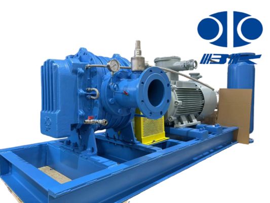 DN40 0.42-1.65m³/min Special Gas Corrosion-proof and Leakage-proof Roots Blower