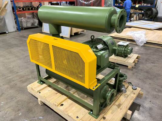 Pompy próżniowe typu BV10034 z wymiarami wejściowymi i wyjściowymi DN350 dla mocy próżniowej w różnych gałęziach przemysłu