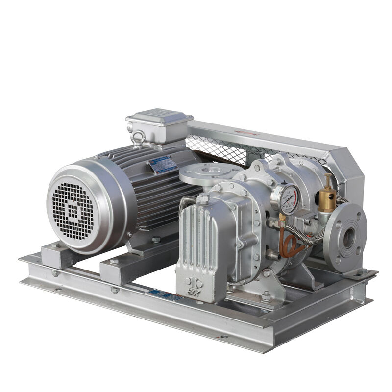 BX100 4'' 3.18-11.74 m3/min 0.1-0.7 kgf/cm2 BX Series Roots Blower ze stali nierdzewnej