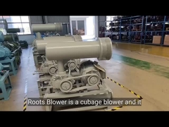 BK serii Trzy płaty Root Blower