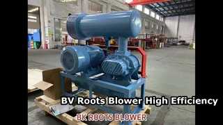 Dmuchawa Roots BV